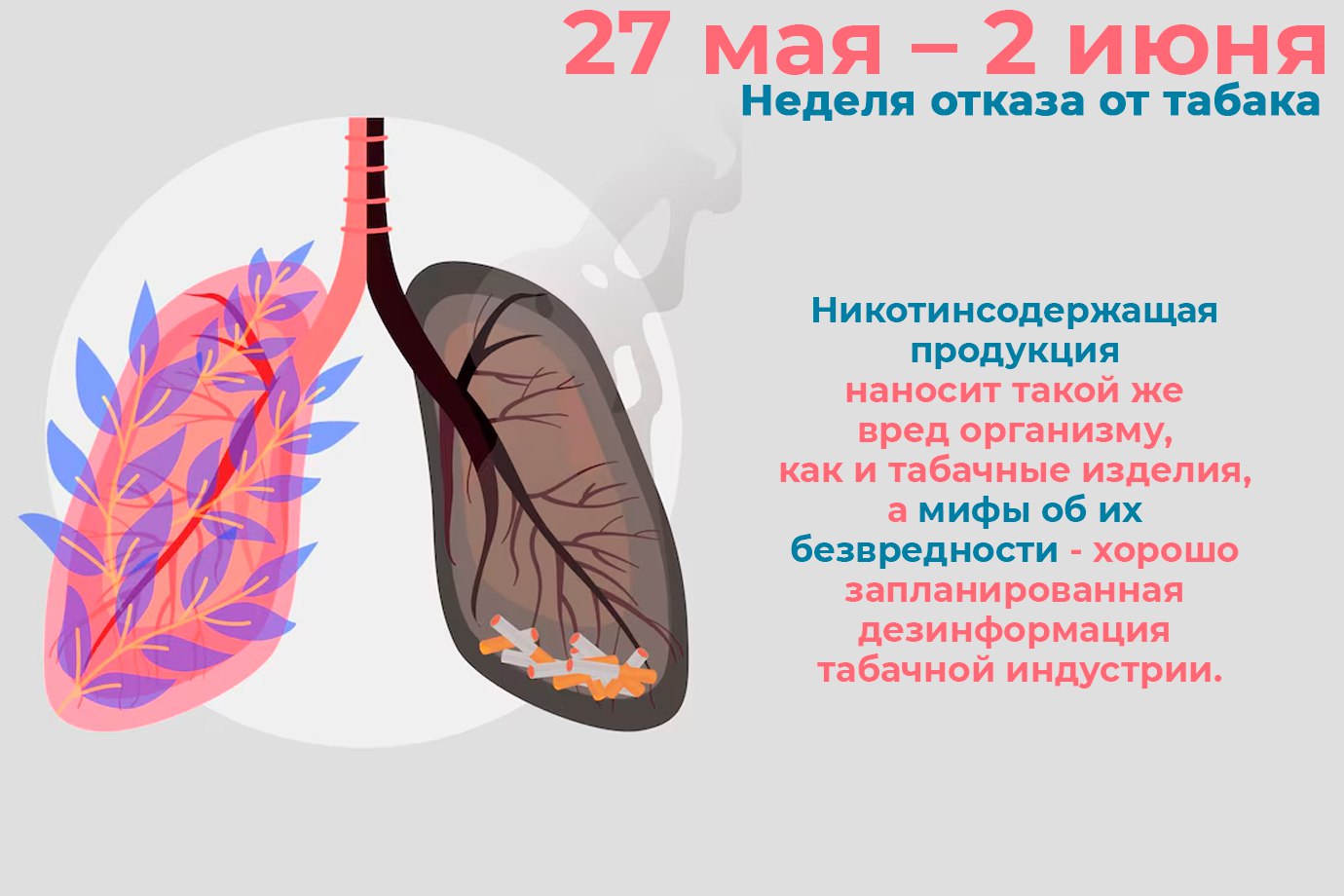 Профилактика - Государственное автономное учреждение Свердловской области  спортивная школа олимпийского резерва по велоспорту 